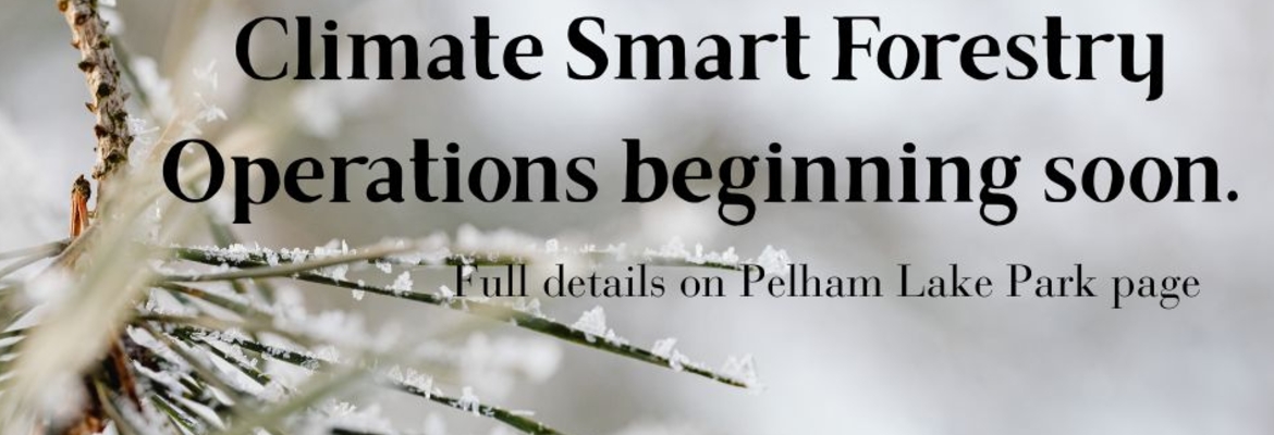 Climate Smart Forestry